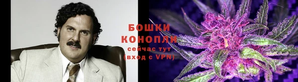 MESCALINE Коряжма
