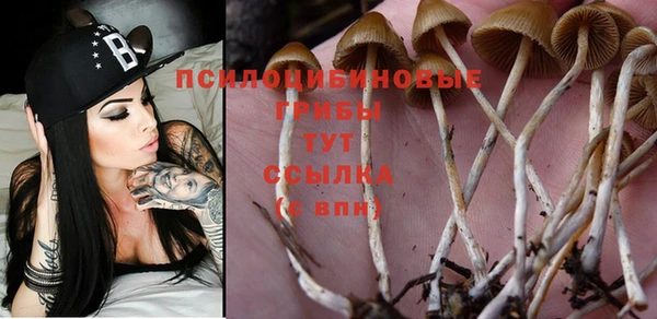 MESCALINE Коряжма