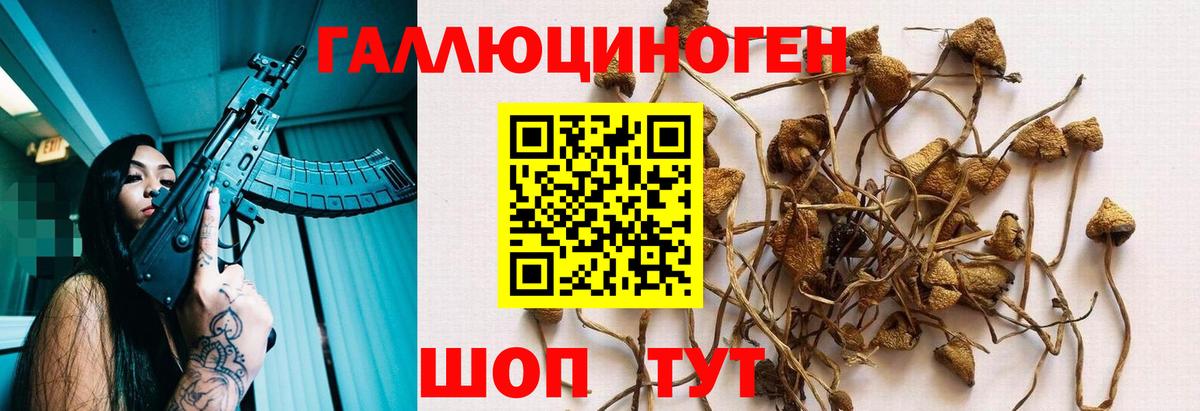 Галлюциногенные грибы мицелий Елец