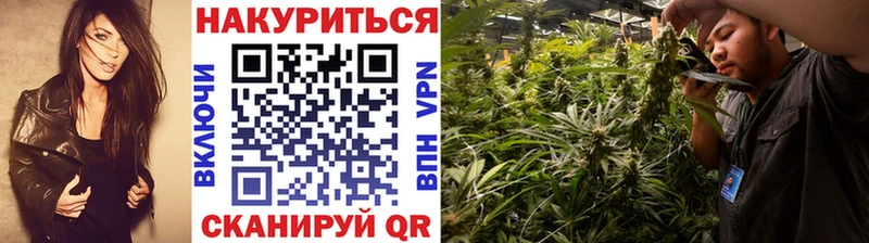 МАРИХУАНА Amnesia  Елец 